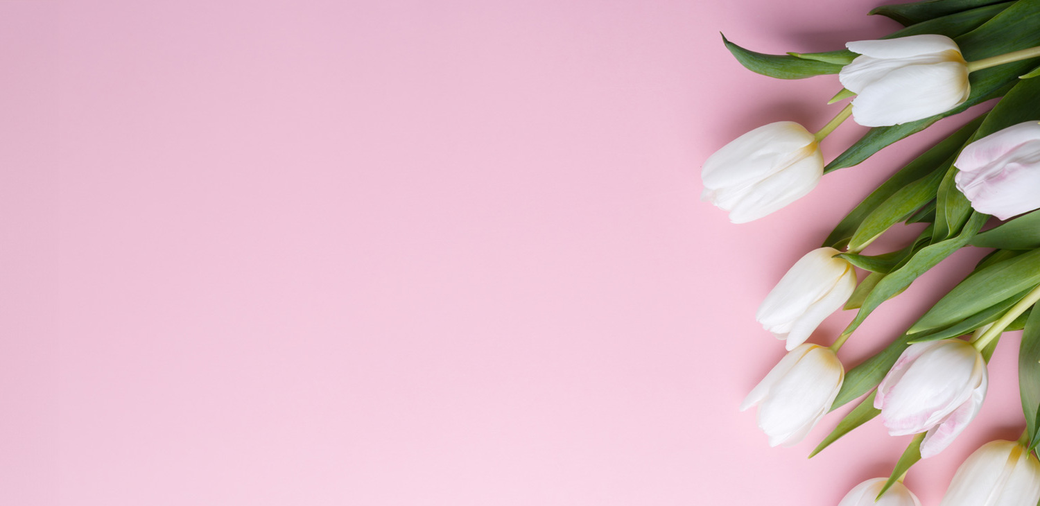 Blumen und Pflanzen